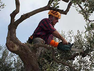 Aménagement de vos espaces extérieurs avec Roussel paysagiste